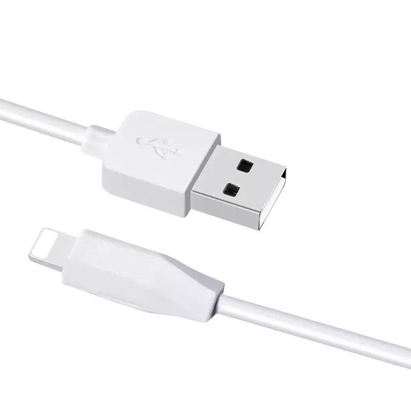 1 Meter Apple iPhone Lightning to Standard USB PD Fast Charging
